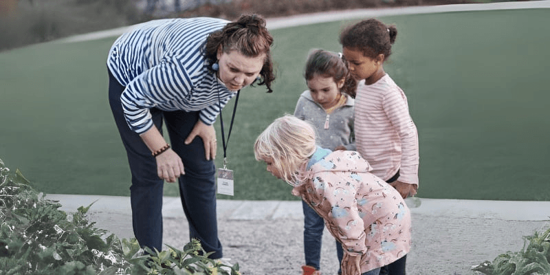 The Role of Curiosity and Exploration in Fostering Creative Learning