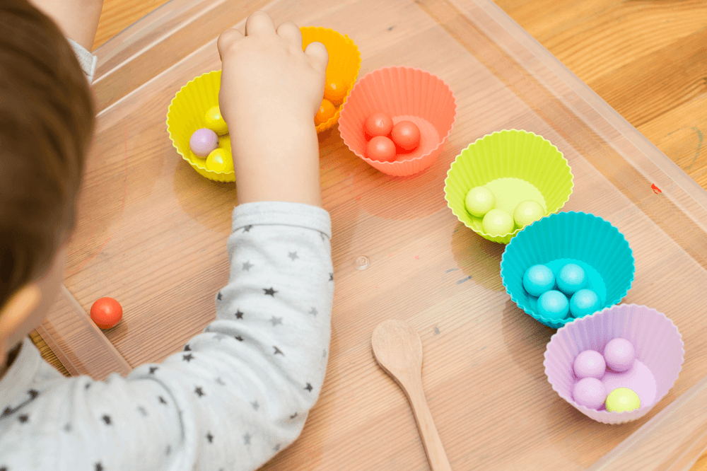 The Science of Extracurriculars: How Non-Academic Activities Influence Brain Development & Academic Success